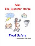 Children's Book - Sam the Disaster Horse
